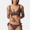 PRIMADONNA Swim HolidayBikini Pezzo SottoSunny Chocolate Donna Moda Mare P0I81I024-O11 -Vendite ONLY f2487c73914a4e209e71f5c1a276679b